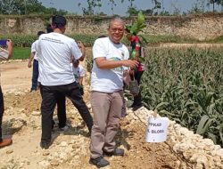Pajak Minerba di Blora Ditargetkan Mencapai 200 Juta