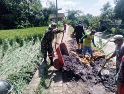 Berbaur Bersama Warga, Babinsa Koramil 07/Sambong Bantu Warga Perbaiki Jalan Paving