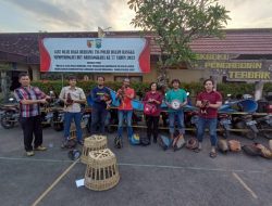 Gerebek Judi Sabung Ayam, Polres Kediri Kota Amankan Belasan Ayam Petarung