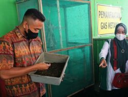 Budidaya Maggot Cara Pemkab Bojonegoro Berinovasi Kurangi Sampah Organik