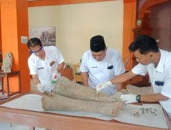 Fosil Gajah Purba Ditemukan di Situs Kedung Wedus Desa Kapuan