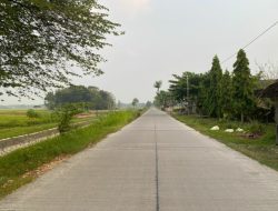 Melalui Dana BKK, Pemkab Bojonegoro Akan Bangun 170 Km Jalan Desa