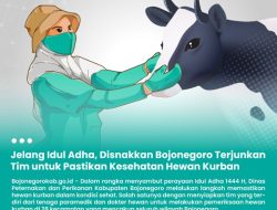 Disnakkan Bojonegoro Terjunkan Tim untuk Pastikan Kesehatan Hewan Kurban Menjelang Idul Adha
