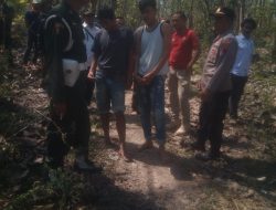 Gerak Cepat, Polsek Sambong Gagalkan Pencurian Kayu Sonokeling di Wilayah BKPH Ledok