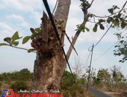 Sejumlah Warga Resahkan Pemasangan Kabel Listrik Bertegangan Tinggi Diduga Milik PT. Pertamina