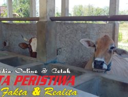 Ini Alasan Kades Hargomulyo Kedewan Baru Memulai Pembangunan Dapur Umum