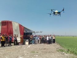 Penggunaan Drone Dalam Penyemprotan Nutrisi dan Pestisida Mulai Dikenalkan Kepada Petani di Desa Sugihwaras