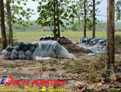 Kotoran Ayam di Belakang TK dan PAUD di Dusun Jintel Lor Desa Kasiman Dikeluhkan Guru dan Wali Murid