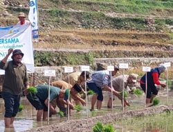 Pemkab Rembang Dorong Pengembangan Potensi Pertanian Organik Trenggulunan