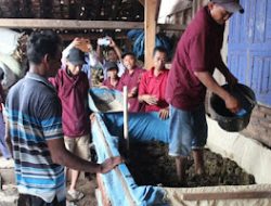 Launching Pembuatan Pupuk Organik Dari Kotoran Sapi di 30 Lokasi Kabupaten Blora