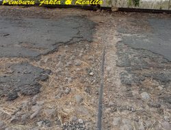 Tak Kunjung Ada Perbaikan, Warga Desa Wonosari Keluhkan Jalan Desa yang Semakin Parah