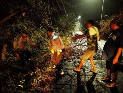 Polsek Malo Bersama Warga Evakuasi Pohon Tumbang di Jalan Raya Pasca Hujan Deras