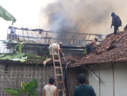 Si Jago Merah Mengamuk, Rumah Milik Warga Desa Gedangdowo Ludes Terbakar
