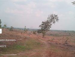 Lahan Pertanian di Wilayah BKPH Sekaran Semakin Meluas, Ada Apa?