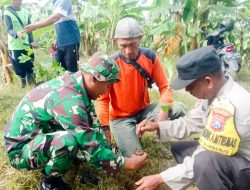 Kompak, Babinsa Koramil Malo Bojonegoro bersama Masyarakat Tanggir Tanam Pohon Sukun dan Perbaiki Jalan Rusak