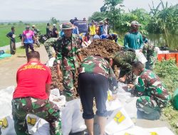 Bersama Masyarakat, Babinsa Koramil Kanor Bojonegoro Perbaiki Tanggul Ambrol di Desa Kedungprimpen
