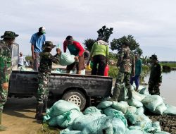 Semangat Juang Tak Kenal Lelah, Babinsa Kodim Bojonegoro dan Masyarakat Benahi Tanggul Jebol