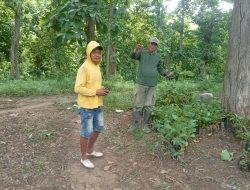 Kondusifkan Hutan Dengan Tindakan Tegas, Kondisikan Hutan Dengan Menanam Jati