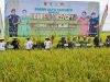 Danrem 082/CPYJ Panen Raya Padi bersama Kelompok Tani Mulyorejo Balen