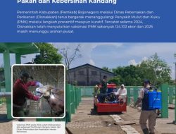 Terus Bergerak Tangani PMK, Disnakkan Bojonegoro Imbau Peternak Sapi Perhatikan Pakan dan Kebersihan Kandang