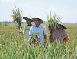 Jaga Kestabilan Harga Hasil Panen, Pemkab Bojonegoro Jembatani Petani dengan Pengepul