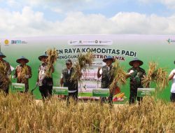 Kasdim Blora Hadiri Panen Raya dan Rembug Tani Bersama Pupuk Petroganik