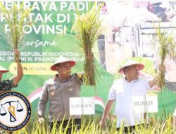 Kapolres Blora dan Forkopimda Ramaikan Panen Padi Serentak