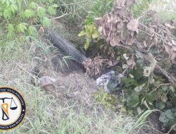 Tiang Listrik Milik PLN di Desa Jatisari Banjarejo Roboh, Diduga Akibat Tanah Longsor