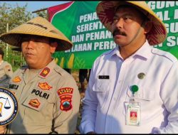 Bersama KTH Manunggaling Roso dan Forkopimda, Kepala DP4 Blora Pimpin Penanaman Jagung Serentak di Lahan KHDPK Desa Jurangjero Blora