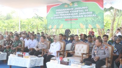 Dukung Kemandirian Pangan, Polres Bojonegoro Tanam Jagung di Lahan Perhutanan Sosial