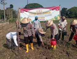 Waka Polres Blora Ajak Warga Tanam Jagung di Lahan Ponpes Darul Faqih