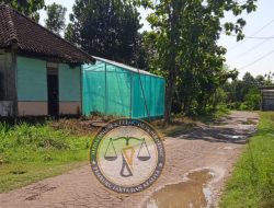 Diduga Proyek Siluman Tanpa Papan Informasi, Ditemukan di Blora