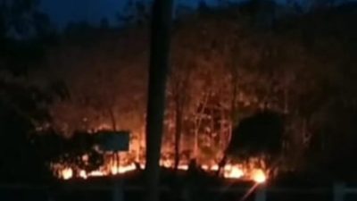 Kebakaran Hutan Dekat Area Pertamina Ledok, Diduga Sengaja Dibakar