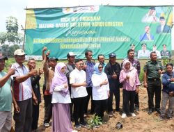 Blora Targetkan 1.000 Ha Lahan di Blora Untuk Tanaman Buah