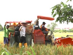 Tasyakuran Panen Raya, Bupati Bojonegoro Dorong Optimalisasi Pengelolaan Lahan dan Air