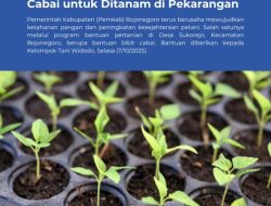 Dorong Ketahanan Pangan, Pemkab Bojonegoro Salurkan Bantuan Bibit Cabai untuk Ditanam di Pekarangan