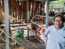 Puncak Produksi Program GAYATRI di Cancung-Bubulan, Warga Kini Mulai Nikmati Hasilnya