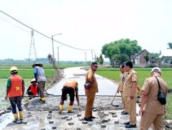 Pembangunan Jalan Rigid Beton Tegalkodo–Sukosewu Perkuat Akses Ekonomi Warga