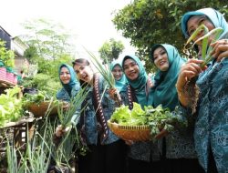 Program Aku Hatinya PKK Sukses, Pekarangan Warga Guyangan Berdaya dan Produktif
