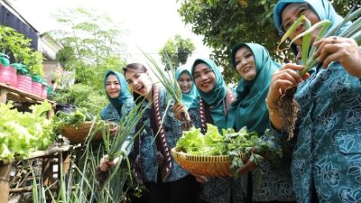 Program Aku Hatinya PKK Sukses, Pekarangan Warga Guyangan Berdaya dan Produktif