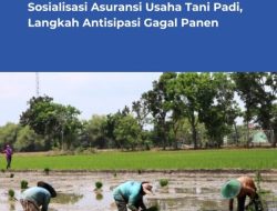 Pemkab Bojonegoro Intensifkan Sosialisasi Asuransi Usaha Tani Padi, Langkah Antisipasi Gagal Panen