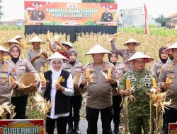 Polda Jatim Gelar Panen Raya Jagung Serentak Kuartal IV di Sidoarjo