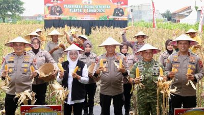Polda Jatim Gelar Panen Raya Jagung Serentak Kuartal IV di Sidoarjo