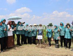 Dari Randugunting ke Kesongo: Estafet Hijau PKK Blora Demi Ekosistem Berkelanjutan