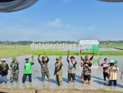 Pemkab Bojonegoro Sukseskan Gerakan Percepatan Tanam Padi Serempak se-Jawa Timur
