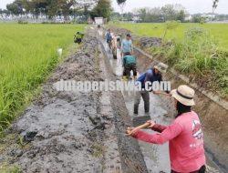 Dukung Swasembada Pangan, Dinas PUPR Blora Gencarkan Operasi dan Pemeliharaan Irigasi