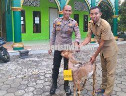 Idul Adha 1447 H, Polresta Malang Kota Siapkan Hewan Kurban, 12 Sapi dan 24 Kambing untuk Warga