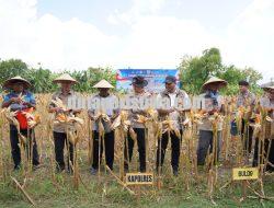 Ikuti Panen Raya Jagung via Jaringan Virtual, Polres Bojonegoro Perkuat Ketahanan Pangan