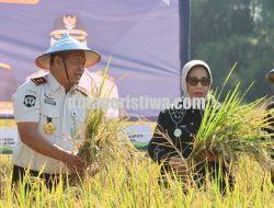 Rutan Blora Didorong Produksi Padi Organik, Targetnya Tembus Jakarta