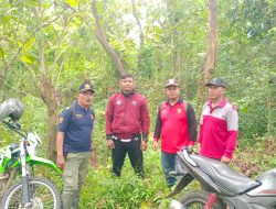 Perhutani KPH Jatirogo Gandeng Polsek Senori dan LMDH, Intensifkan Patroli Hutan Cegah Karhutla dan Gangguan Keamanan